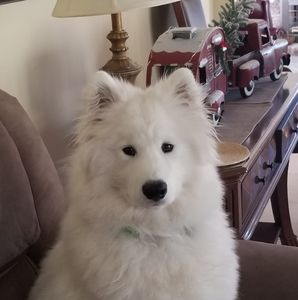 Meet your Posher, Kathy